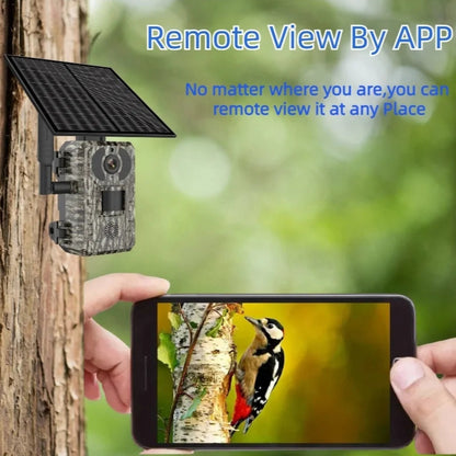 4MP 4G Solar Camouflage Hunting Camera with PIR Motion Detection & Battery Power