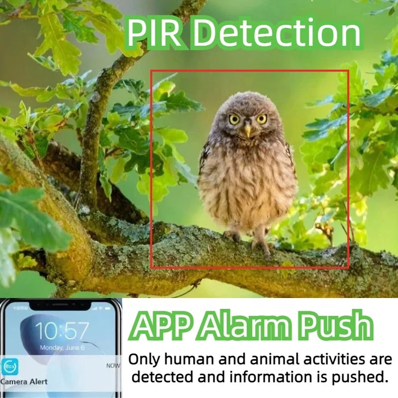 4MP 4G Solar Camouflage PTZ Camera with Wireless Outdoor Security