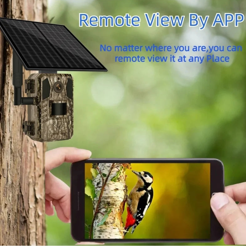 3MP 4G Solar Hunting Camera with Rechargeable Battery & PIR Motion Sensor